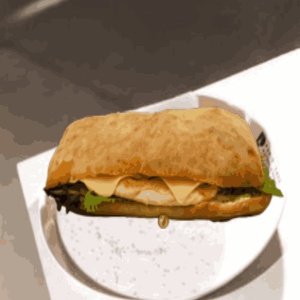 چاپاتا فیله مرغ
