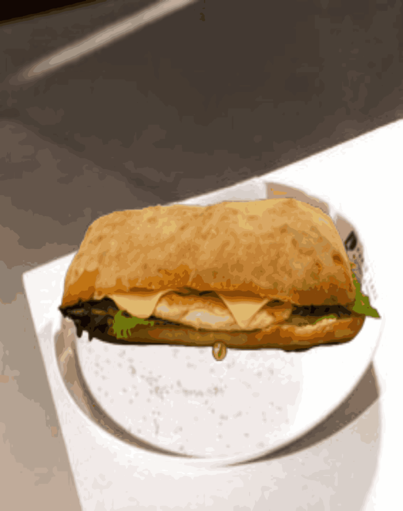 چاپاتا فیله مرغ